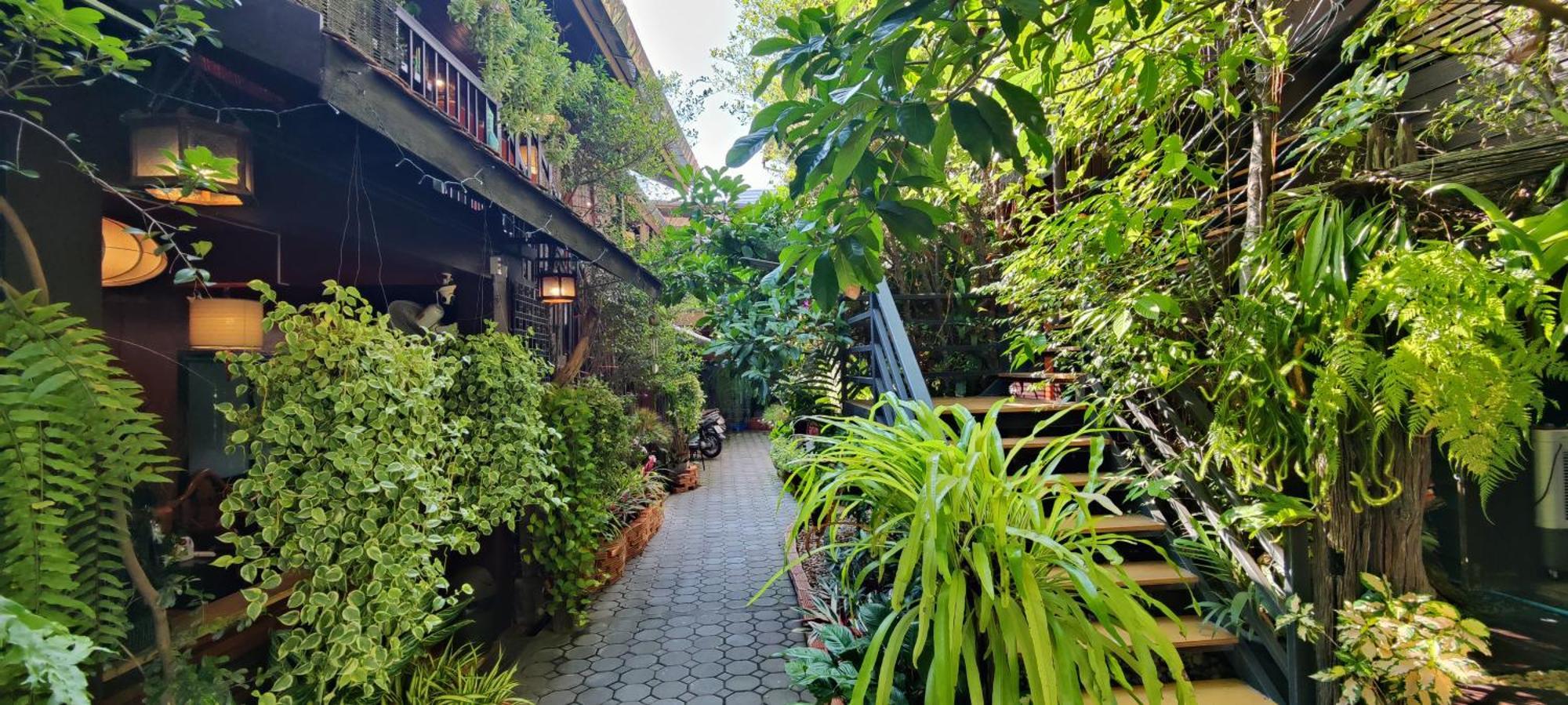 Hoh Guesthouse Chiang Mai Eksteriør billede