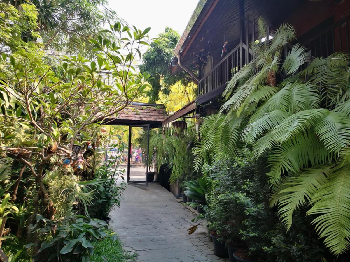 Hoh Guesthouse Chiang Mai Eksteriør billede